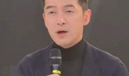 董勇爆料王家卫视视频,独家视频曝光惊人真相