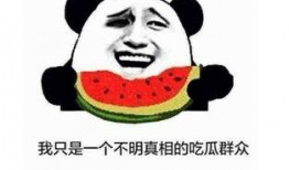 免费请你吃瓜是什么意思,网络流行语的趣味解读